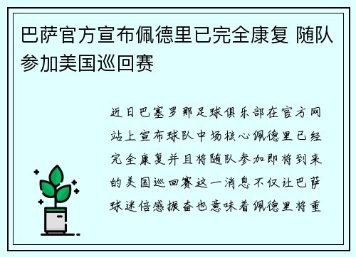 巴萨官方宣布佩德里已完全康复 随队参加美国巡回赛 巴萨官方宣布佩德里已完全康复 随队参加美国巡回赛